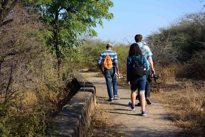 A group of tourists walking along a path near Nahargarh Fort.