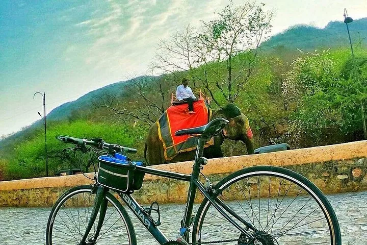 A bicycle parked with an elephant carrying a passenger in the background.